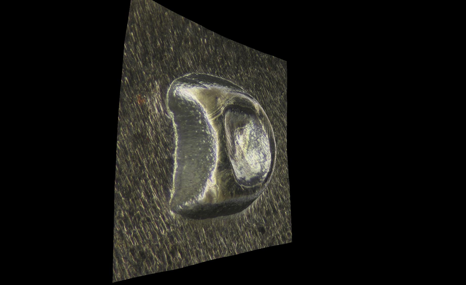 1971-D/D-RPM-Eisenhower-Dollar-ANACS-MS-64-With-3-D-Rendered-Animation